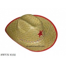 Men's Hat SWVN 8102